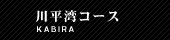 �약�p�R�[�X